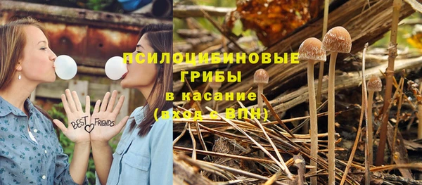 спиды Арсеньев