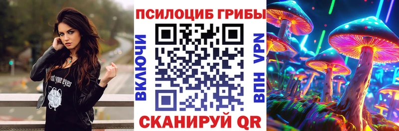 Галлюциногенные грибы Psilocybe  Курган 