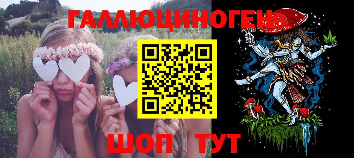 Галлюциногенные грибы Psilocybine cubensis  Вход с VPN  Курган 